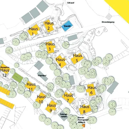 Duenenhaeuser Unserusedomde Ca40qm Mit Parkplatz Direkt Am 8i1 *